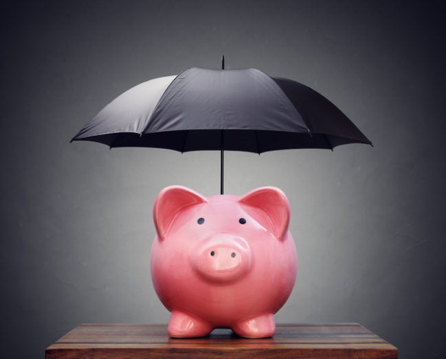 Commercial Lenders Take Note: Insurance May Not Cover Fraudulent USDA Guarantees for Business & Industry Loans