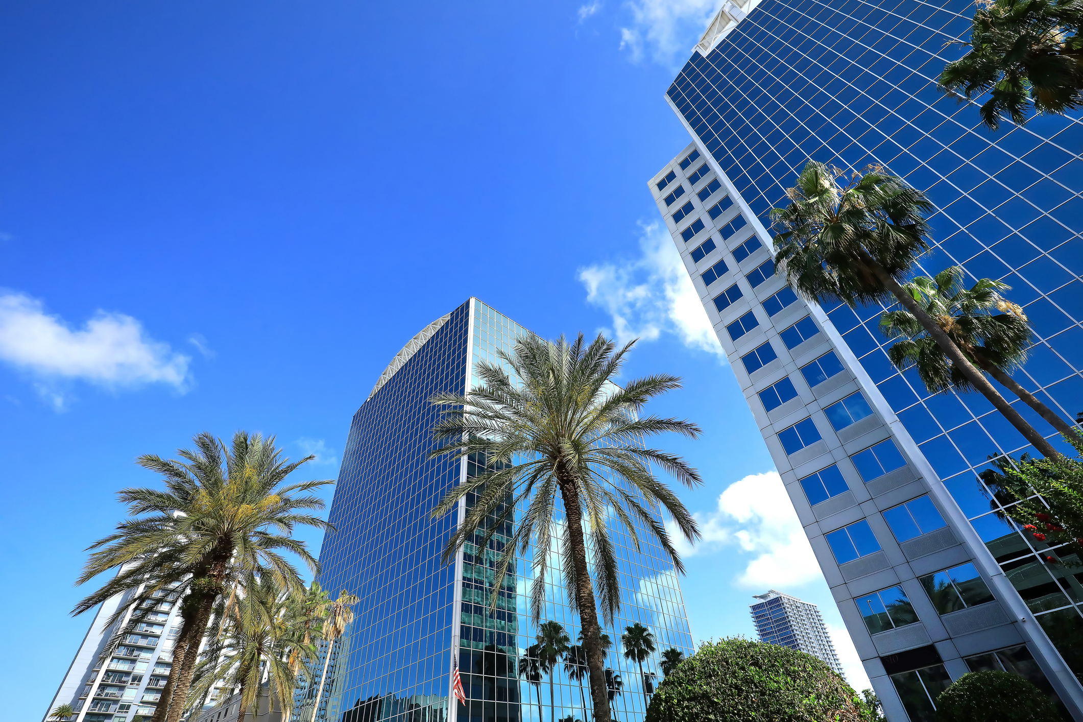 Florida’s Fair Access to Banking Expansion Takes Effect July 1: Are You Ready?