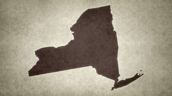 New York Court of Appeals Finally Agrees to Hear Constitutional Challenges to FAPA